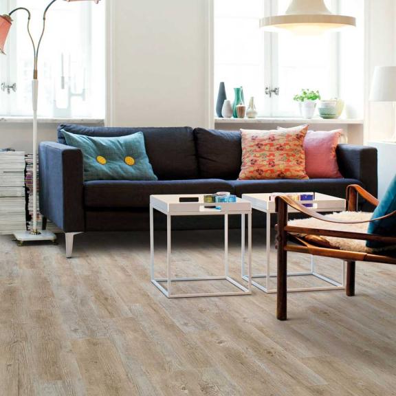 Pin Boréalis - 400100116