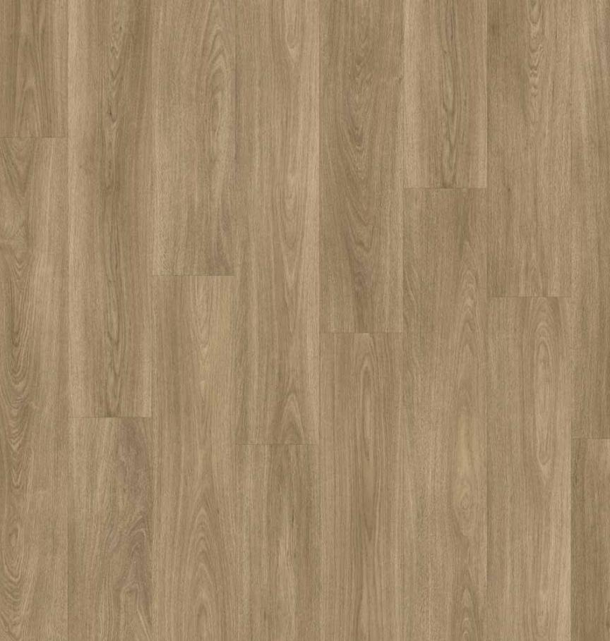 55CHCA85296 - Chêne Capuccino