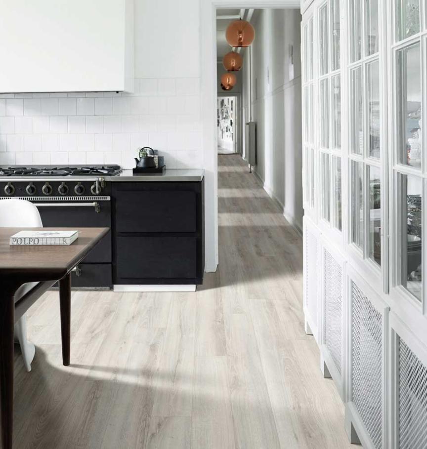 55CHCO83113 - Chêne Coquillage