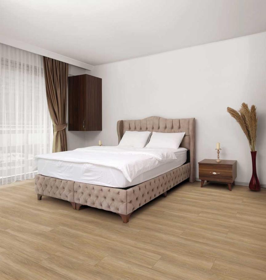 7152_Chene_Bucarest_RS