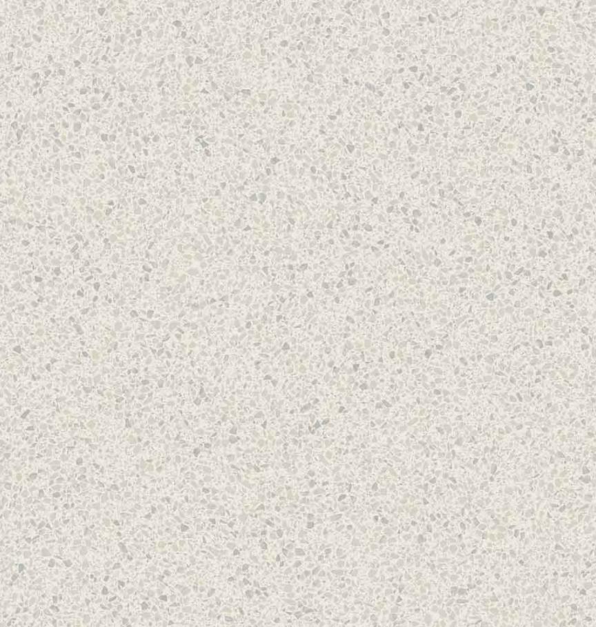 7251_Terrazzo_Venise