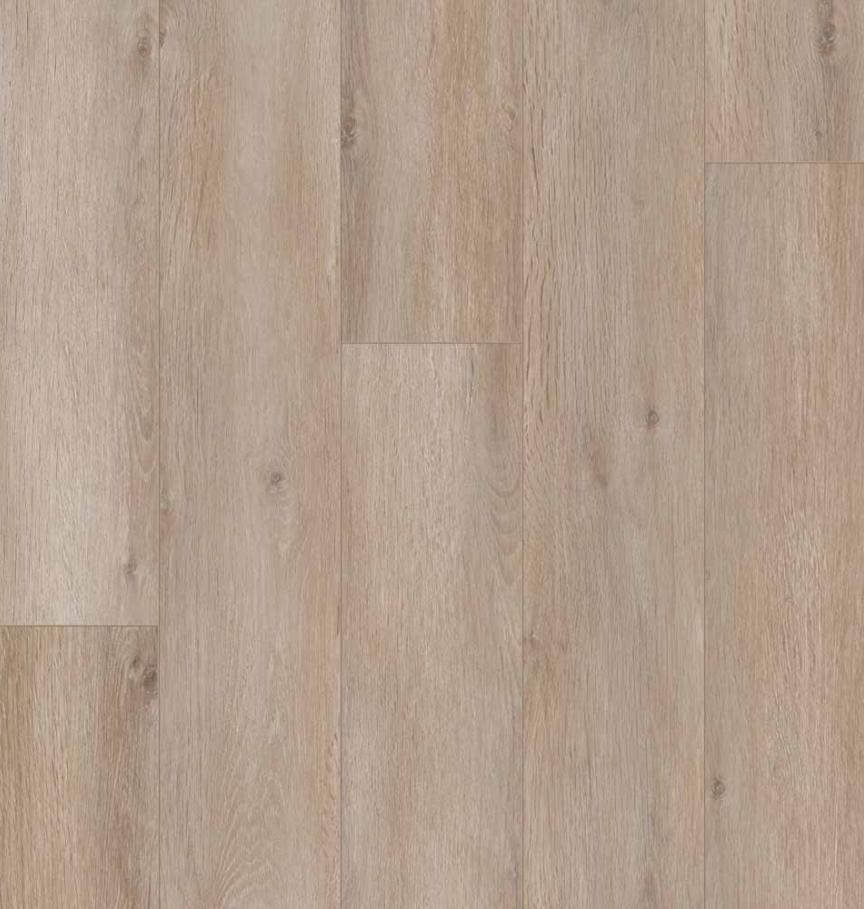 50-RLVE-1218 - Mirage - ProPlus