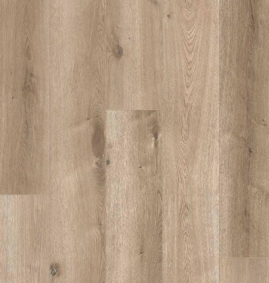 50-RLVE-1213 - Piano - ProPlus