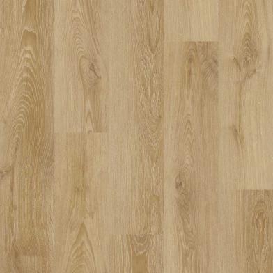 50-RLV-1220 - Bellagio - ProPlus