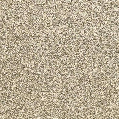 CCN35_Look_Moquettes_Cocoon