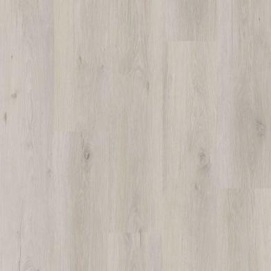 50-RLV-1201 - Comcast - ProPlus