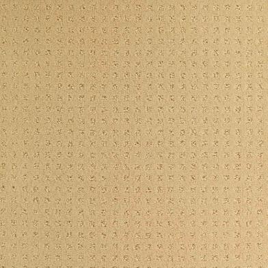 DE311_Yellow_Look_Moquettes_Devon