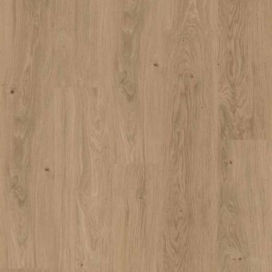 50-RLVR-4352 - Mandelay - ProPlus