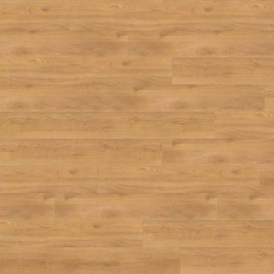 PL270R_Let's_go_Max_Wineo_1200_PS