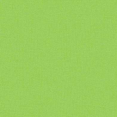 RO3T262_RO4T262_Solatech33_43CF_RochusT26